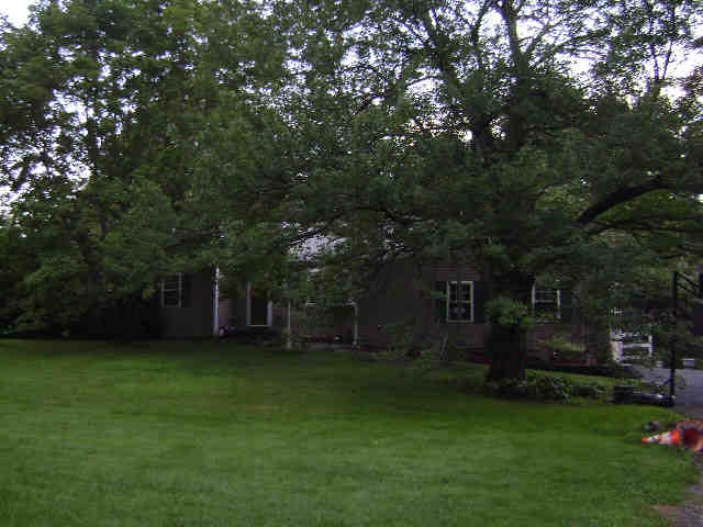 Building photograph for 91 TERRELL FARM RD